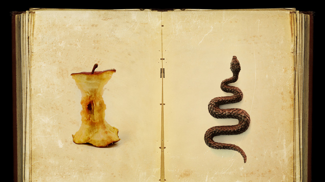 Abbildungen von Schlange und Apfel in aufgeschlagenem Buch